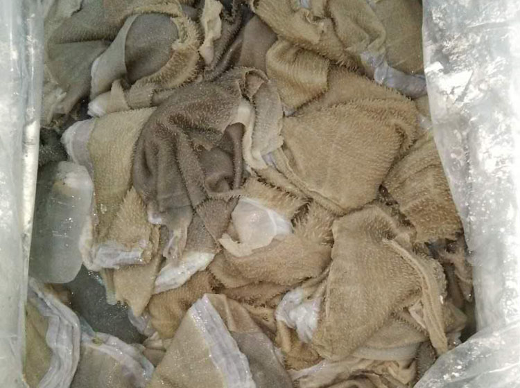 成都毛肚批發